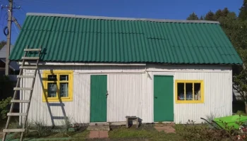 Резиновая краска ваша палочка-выручалочка